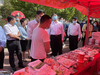 许昌市市委书记视察了解魔芋产品 许昌市市委书记视察了解魔芋产品